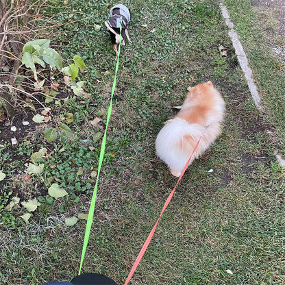 FurencePet™ NightWalk: Dual-Retractable Leash with Built-in LED Safety Lights