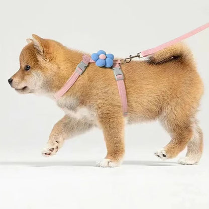 FurencePet™ BloomWalk - Adjustable Breathable Cat Harness & Leash Set