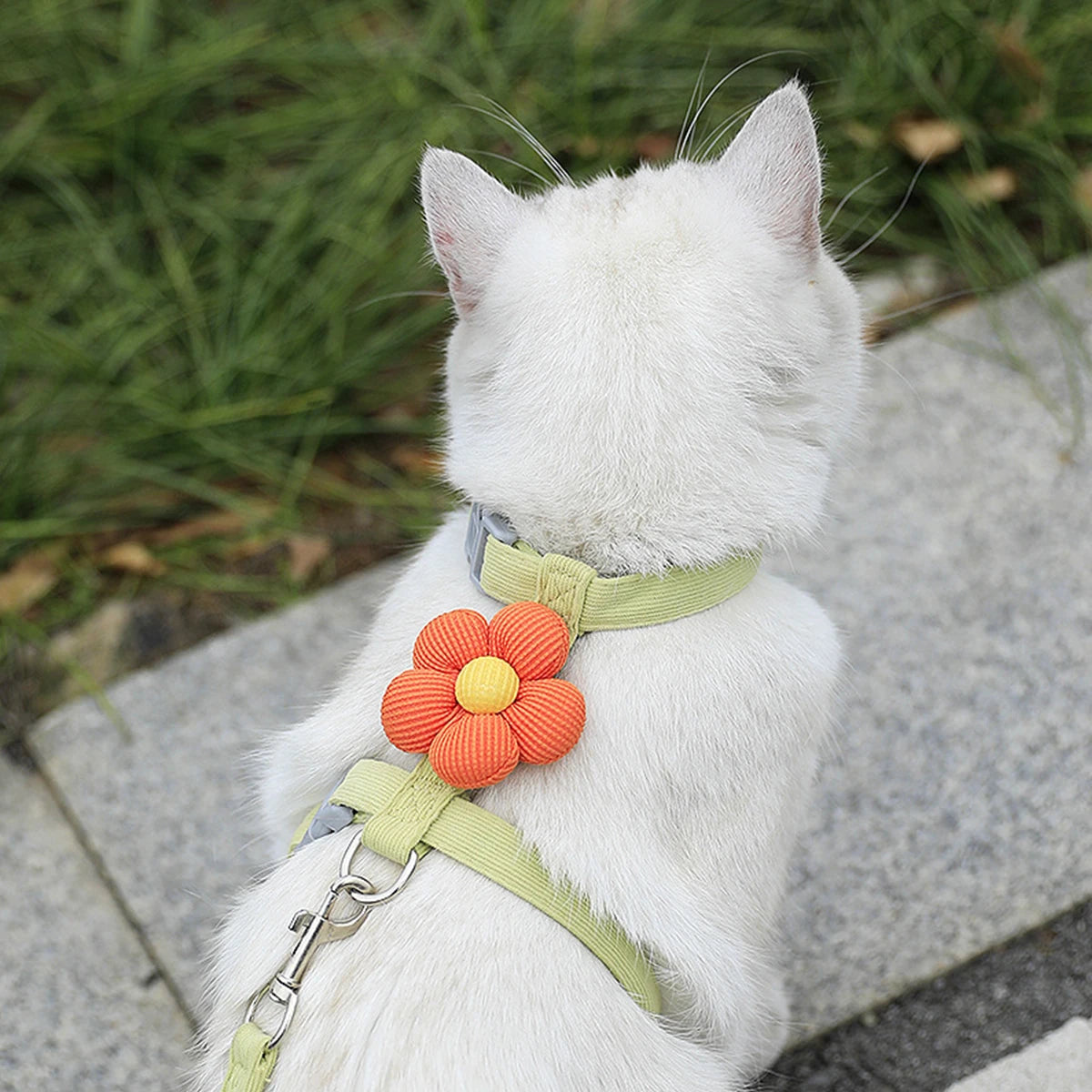 FurencePet™ BloomWalk - Adjustable Breathable Cat Harness & Leash Set