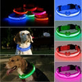 FurencePet™ GlowGuard LED Safety Pet Collar – Adjustable Night Visibility Collar for Dogs & Cats